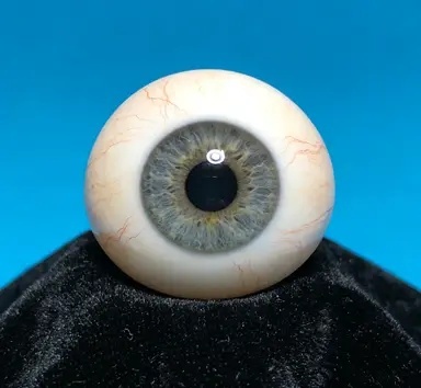 关于我们 — 专业义眼片定制团队