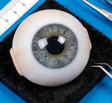 专业义眼定制工作室环境