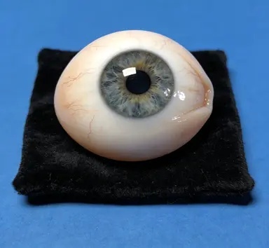 义眼片维护与调整